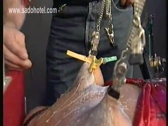Tit and wax behavior
